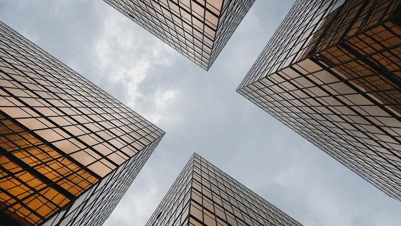 郑州植美堂生物科技有限公司